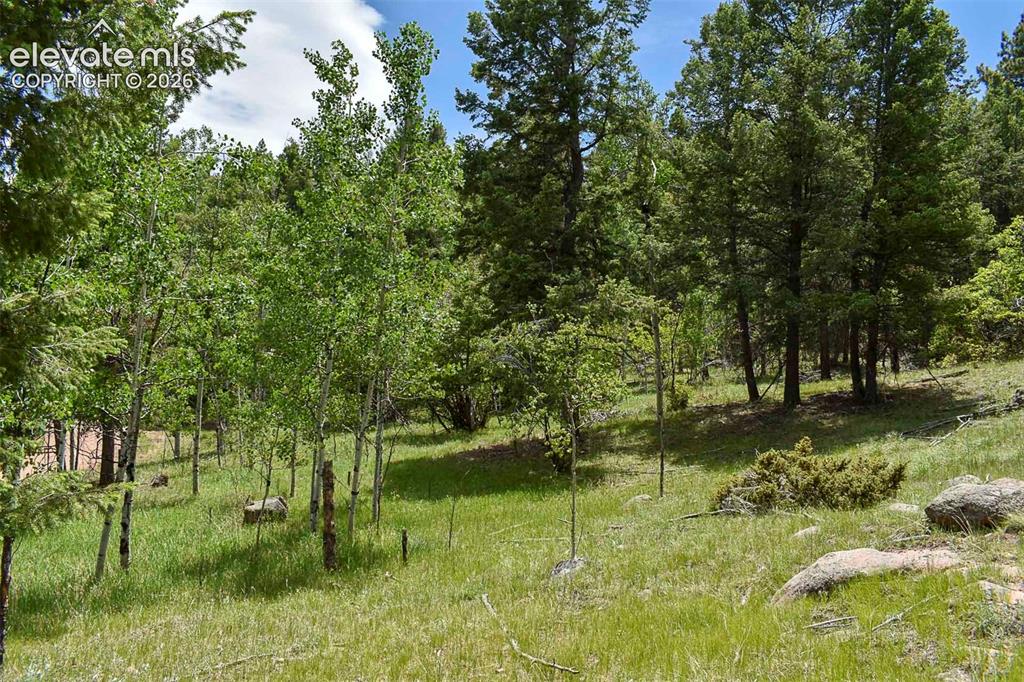 281 Deer Lane Guffey CO 80820
