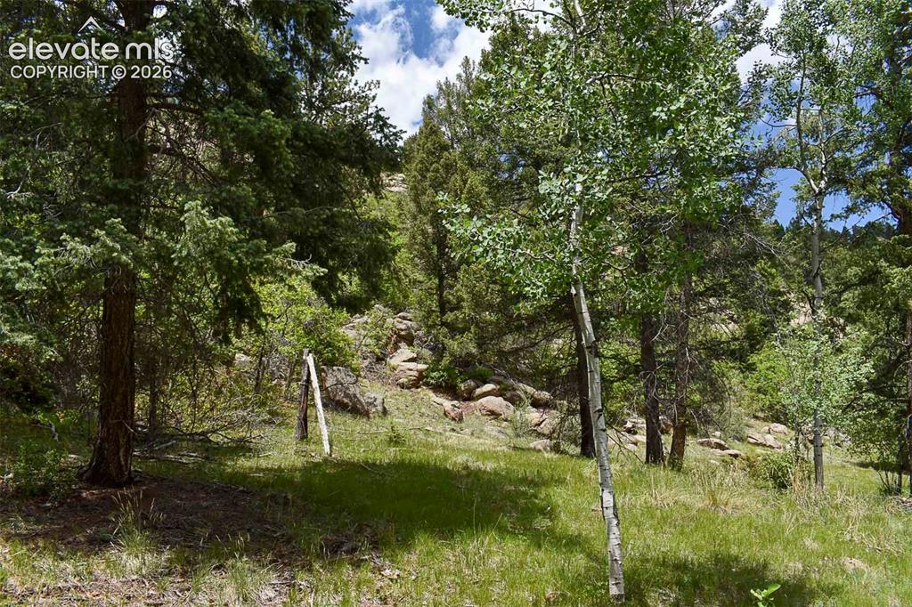 281 Deer Lane Guffey CO 80820
