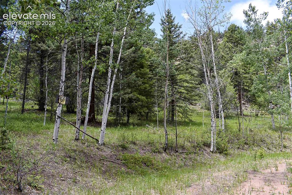281 Deer Lane Guffey CO 80820