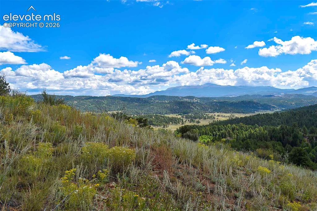 281 Deer Lane Guffey CO 80820