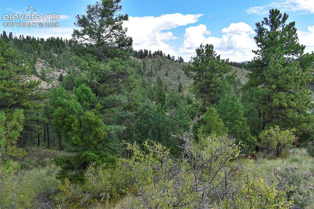 281 Deer Lane Guffey CO 80820