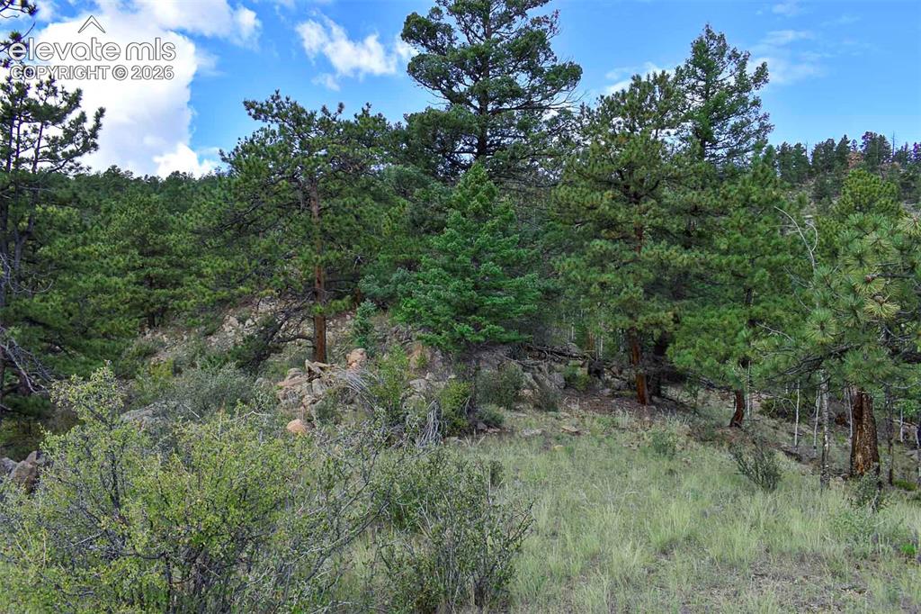 281 Deer Lane Guffey CO 80820