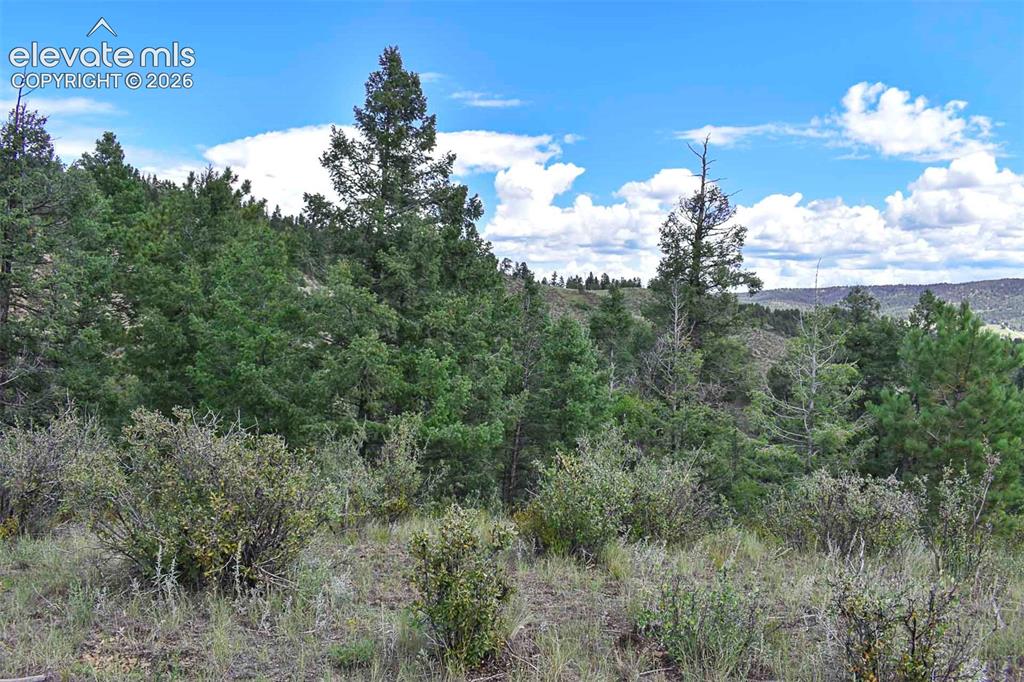 281 Deer Lane Guffey CO 80820