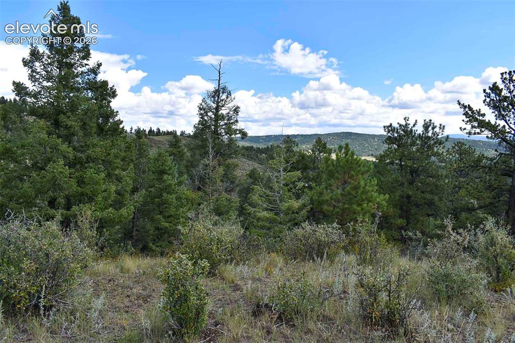 281 Deer Lane Guffey CO 80820