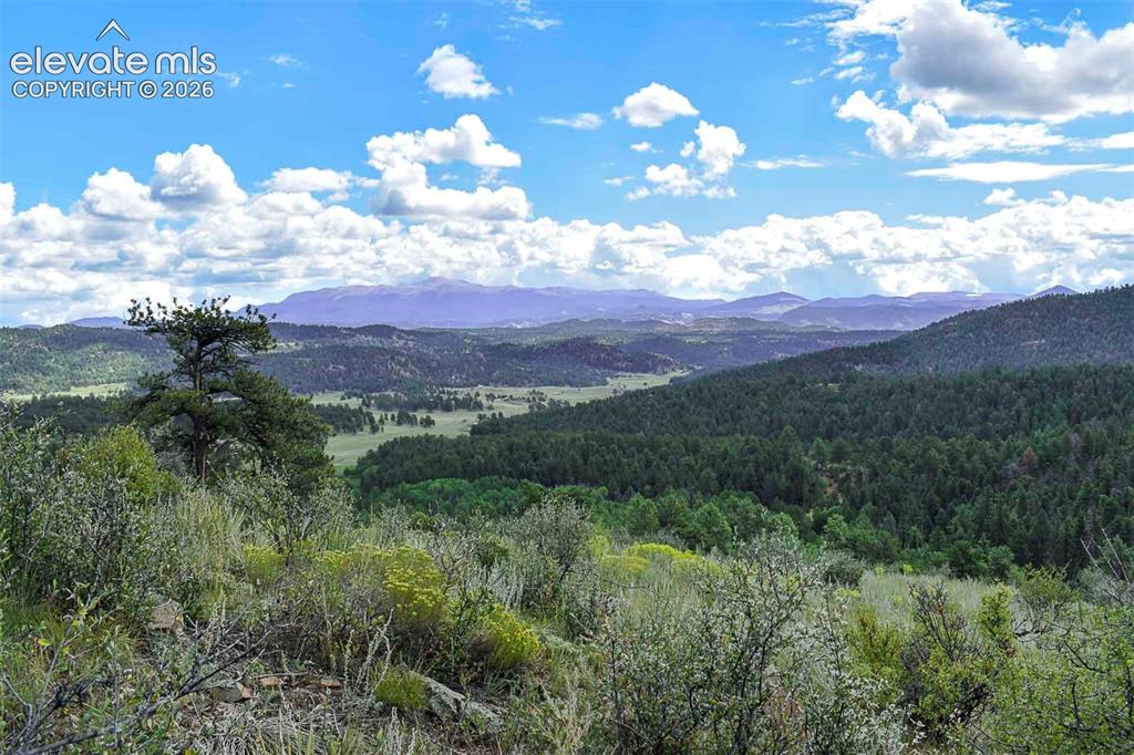 281 Deer Lane Guffey CO 80820