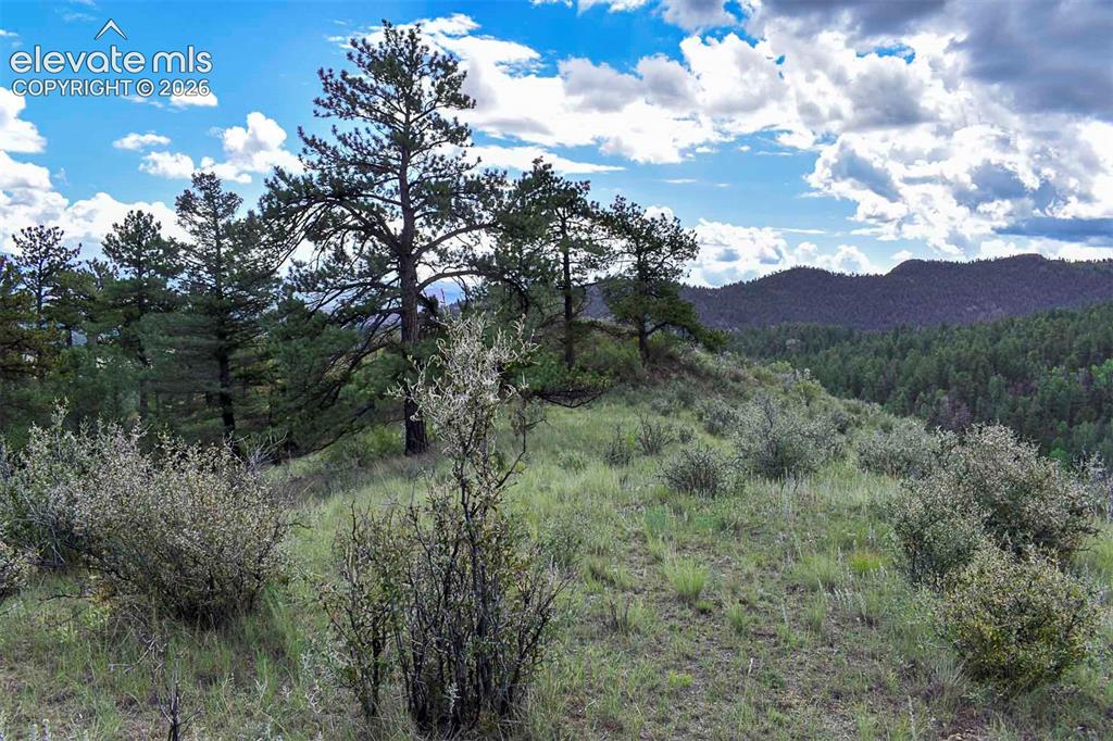 281 Deer Lane Guffey CO 80820
