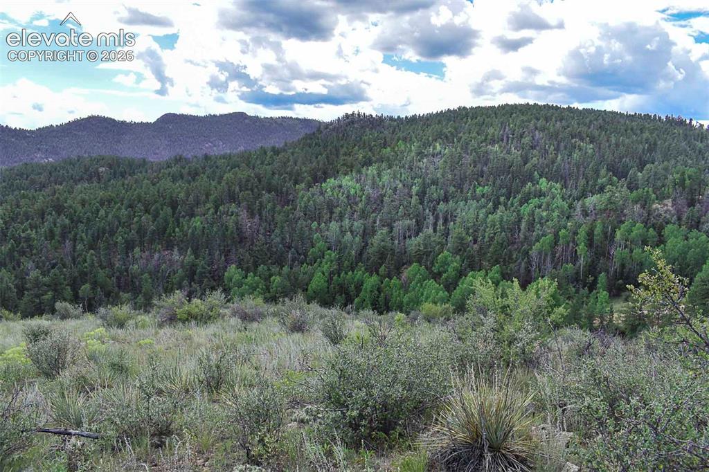 281 Deer Lane Guffey CO 80820