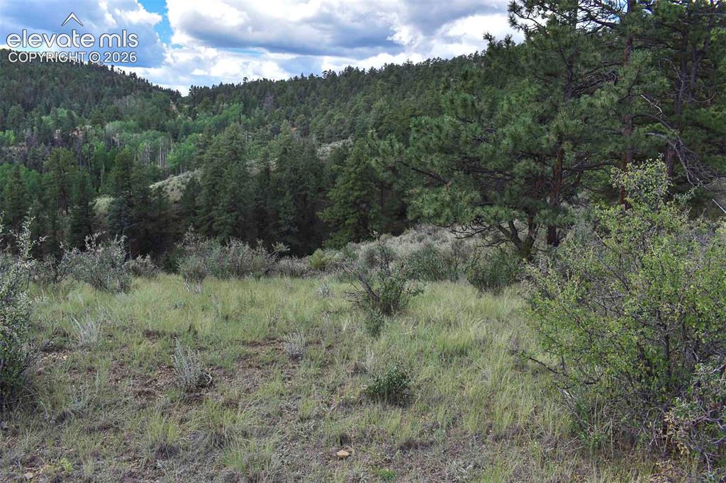 281 Deer Lane Guffey CO 80820