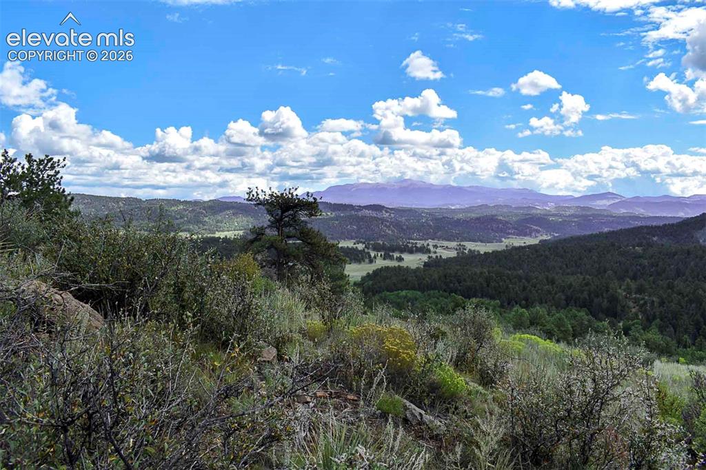 281 Deer Lane Guffey CO 80820