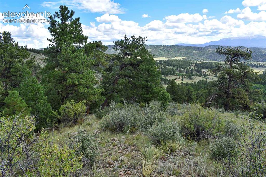 281 Deer Lane Guffey CO 80820
