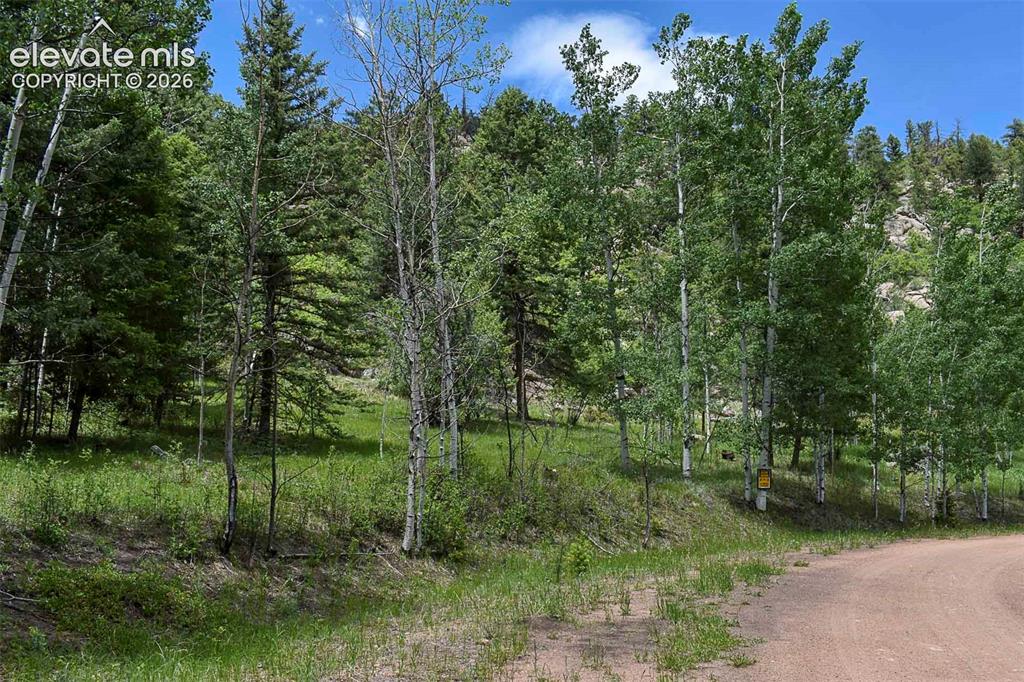 281 Deer Lane Guffey CO 80820