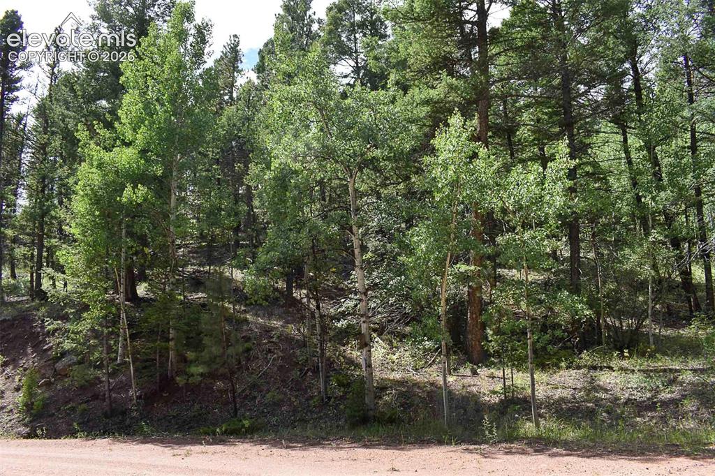 281 Deer Lane Guffey CO 80820