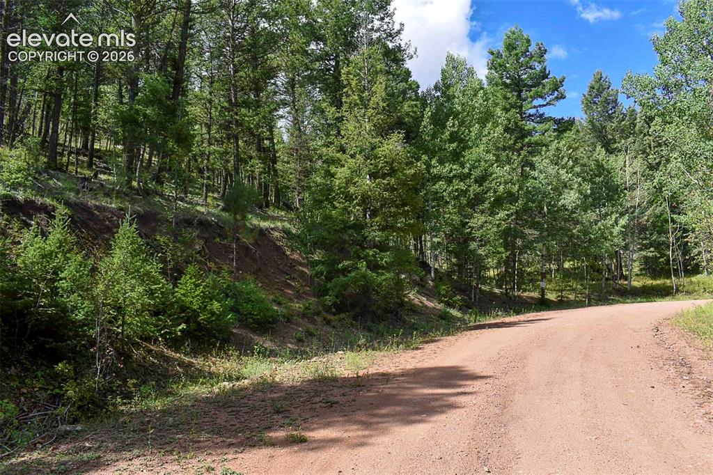 281 Deer Lane Guffey CO 80820