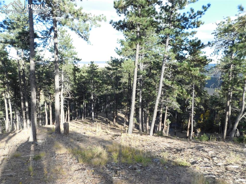 13910 Boulder Lane Larkspur CO 80118