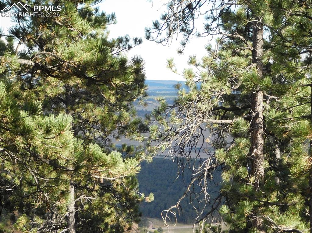 13910 Boulder Lane Larkspur CO 80118