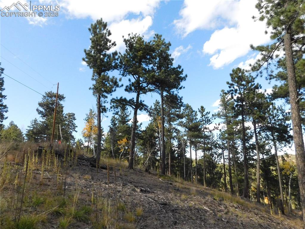 13910 Boulder Lane Larkspur CO 80118