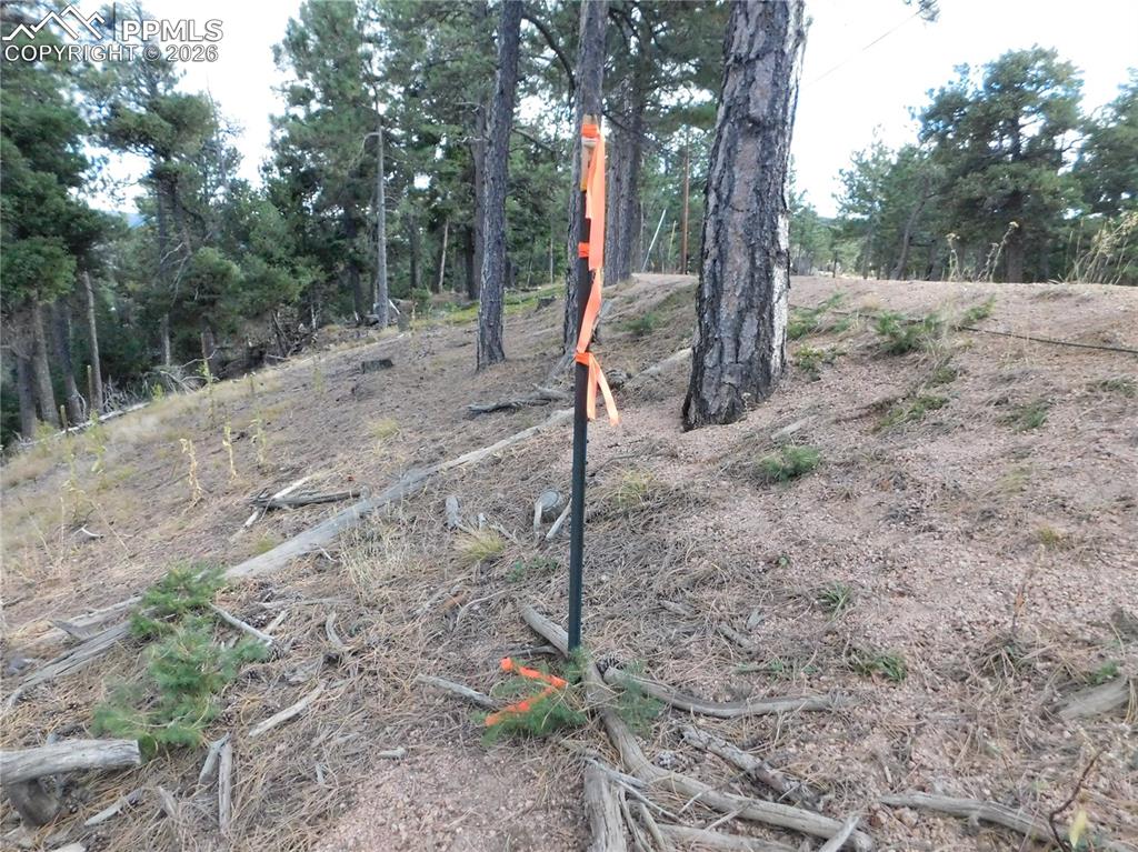 13910 Boulder Lane Larkspur CO 80118