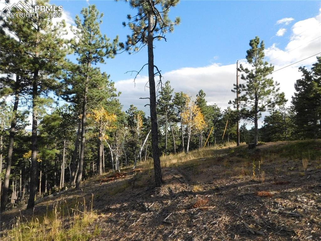 13910 Boulder Lane Larkspur CO 80118