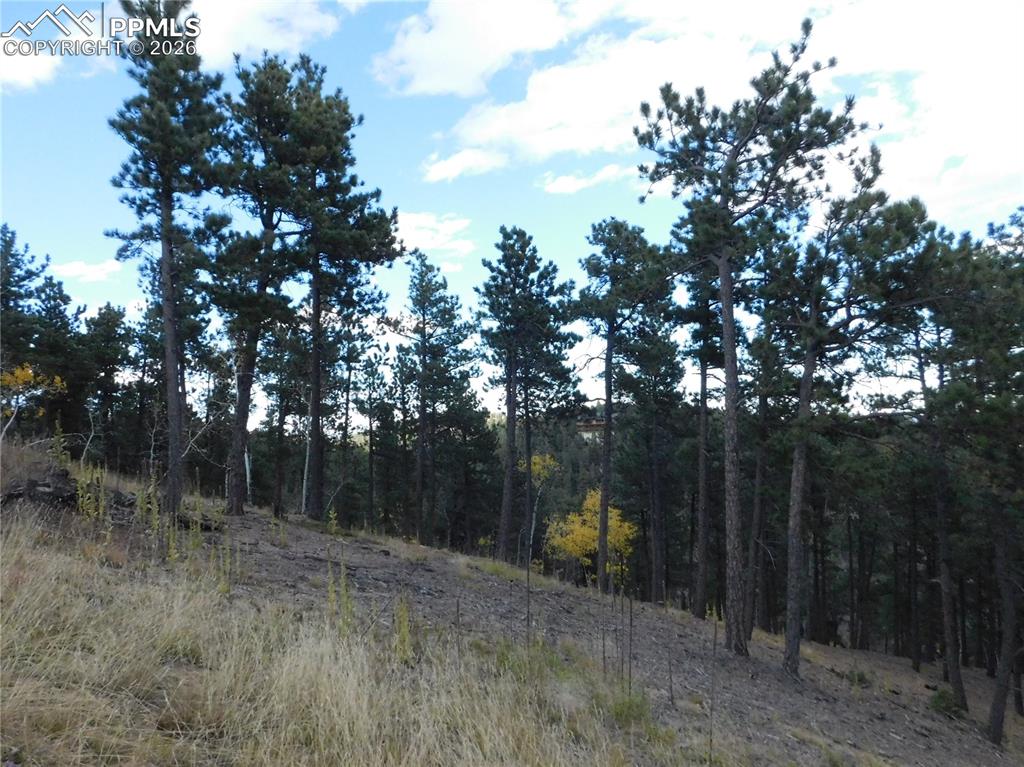 13910 Boulder Lane Larkspur CO 80118