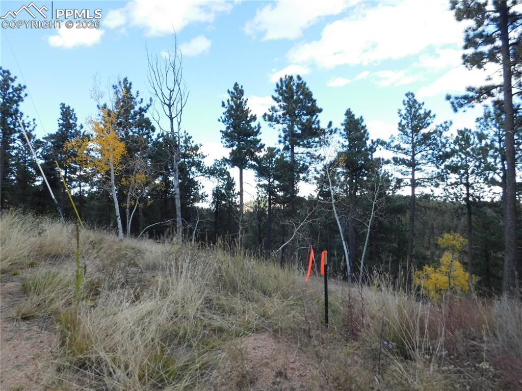13910 Boulder Lane Larkspur CO 80118