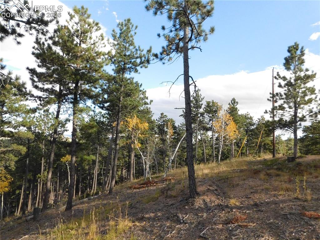 13910 Boulder Lane Larkspur CO 80118
