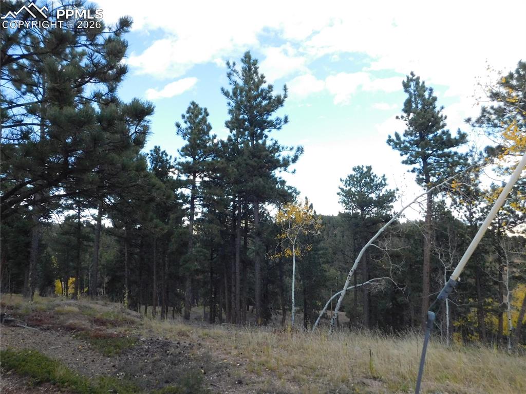 13910 Boulder Lane Larkspur CO 80118