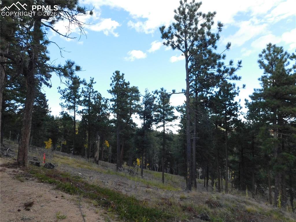13910 Boulder Lane Larkspur CO 80118