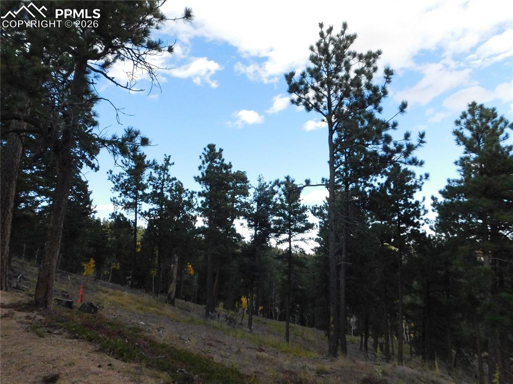 13910 Boulder Lane Larkspur CO 80118
