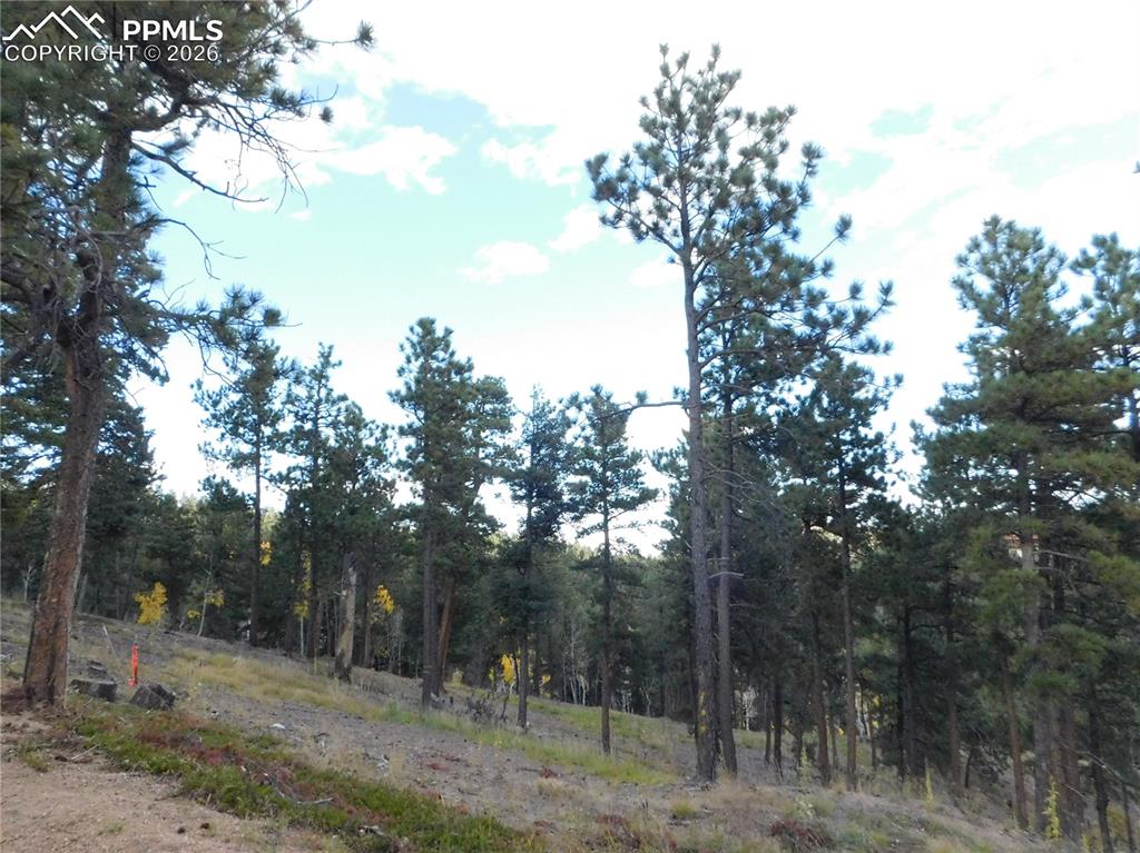 13910 Boulder Lane Larkspur CO 80118