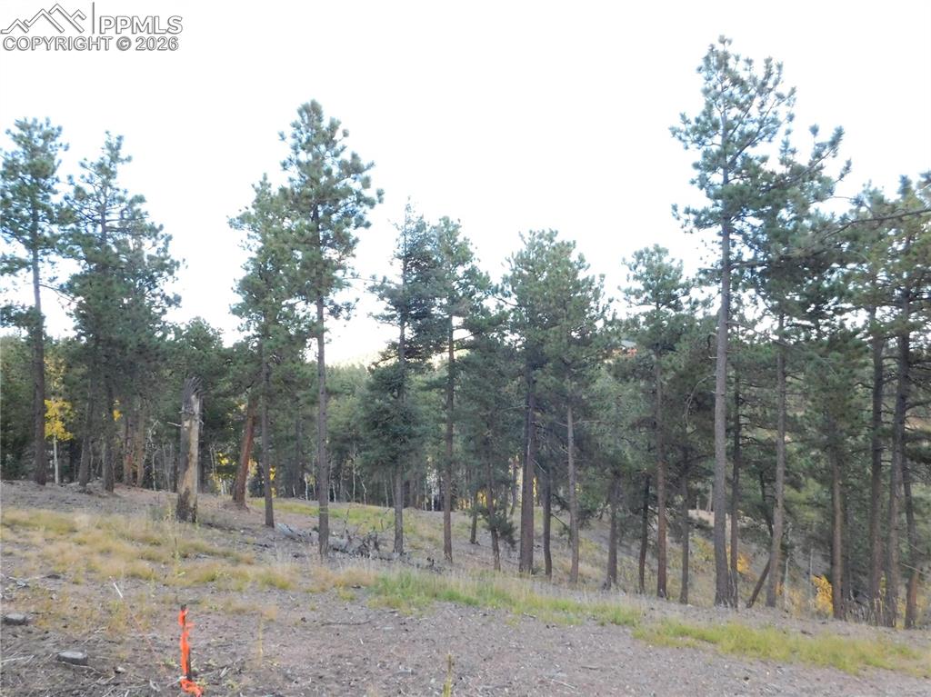 13910 Boulder Lane Larkspur CO 80118