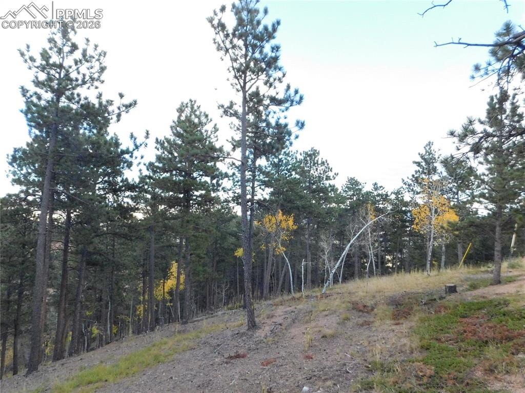 13910 Boulder Lane Larkspur CO 80118