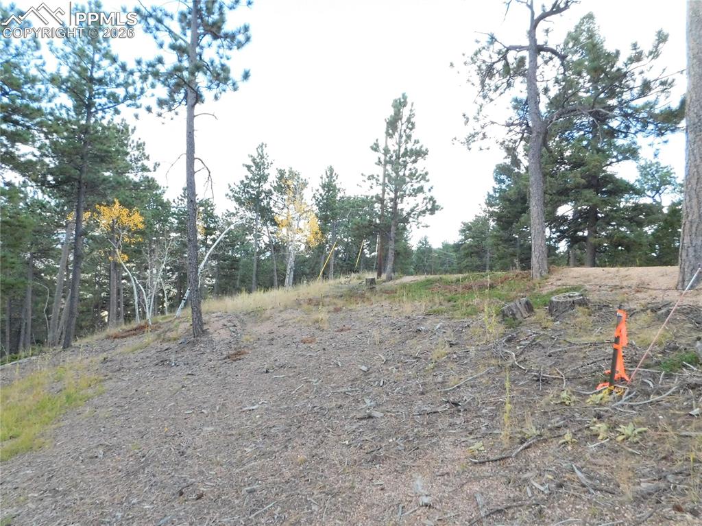 13910 Boulder Lane Larkspur CO 80118