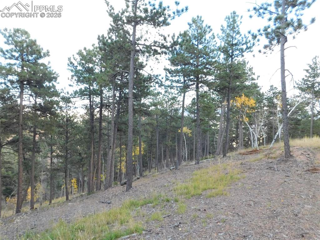 13910 Boulder Lane Larkspur CO 80118