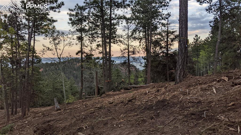 13910 Boulder Lane Larkspur CO 80118