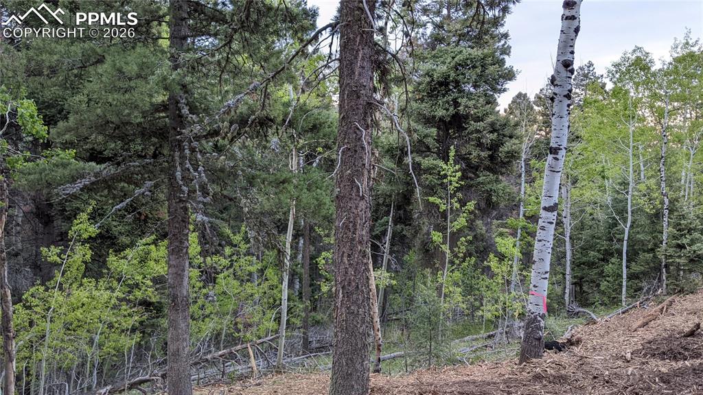 13910 Boulder Lane Larkspur CO 80118