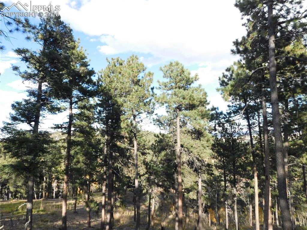 13910 Boulder Lane Larkspur CO 80118