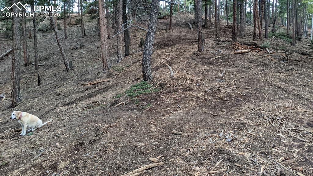 13910 Boulder Lane Larkspur CO 80118