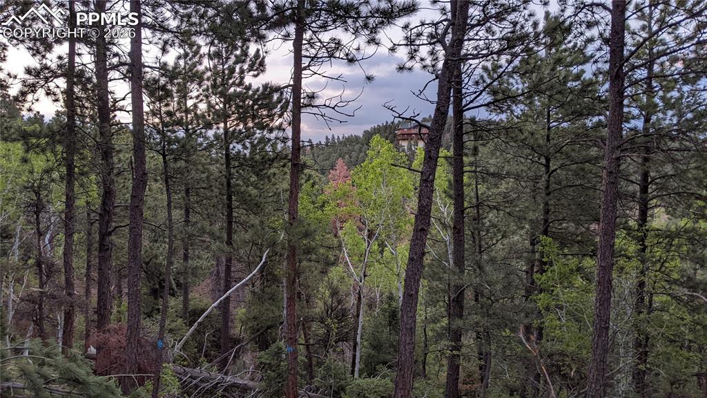 13910 Boulder Lane Larkspur CO 80118
