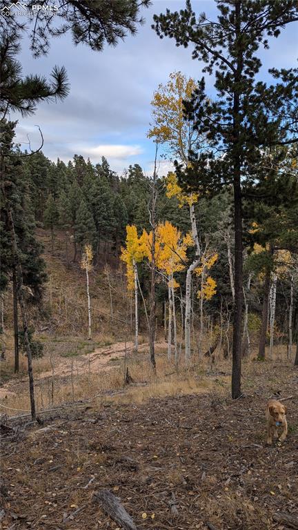 13910 Boulder Lane Larkspur CO 80118