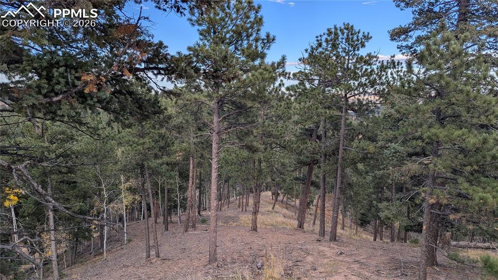 13910 Boulder Lane Larkspur CO 80118