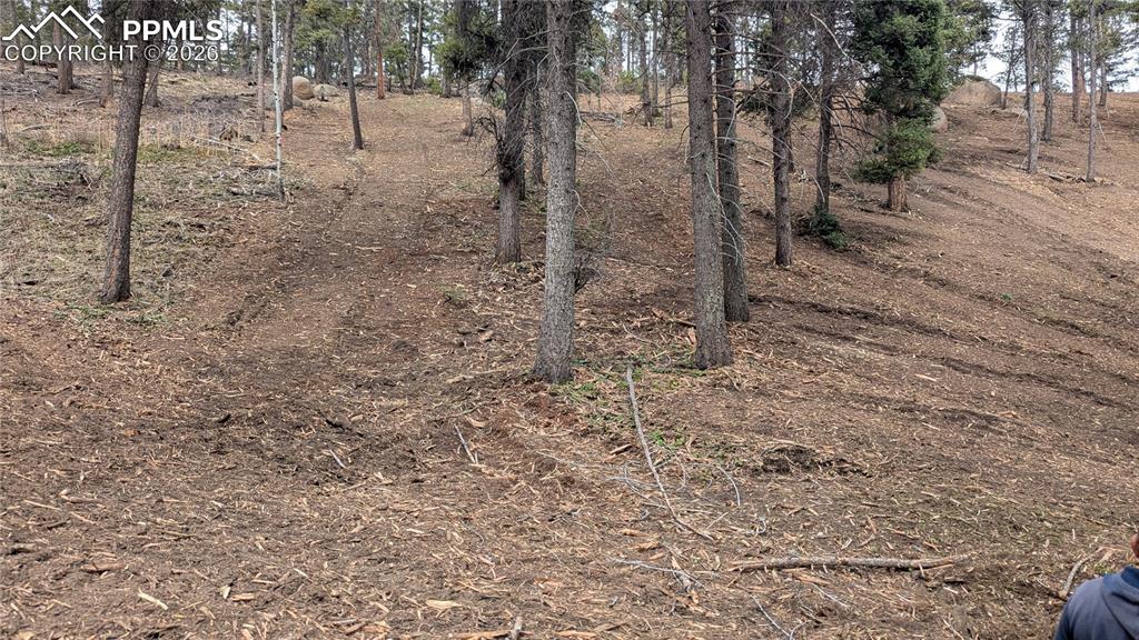 13910 Boulder Lane Larkspur CO 80118