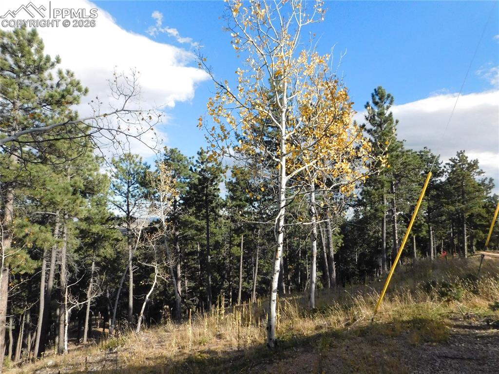 13910 Boulder Lane Larkspur CO 80118