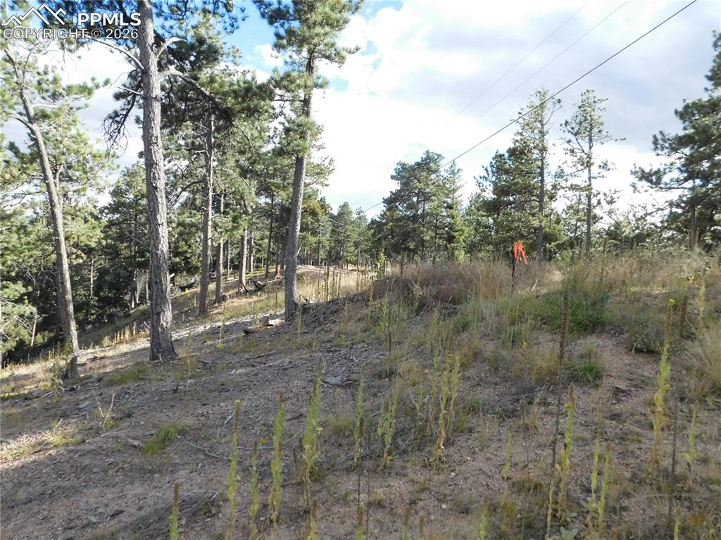 13910 Boulder Lane Larkspur CO 80118