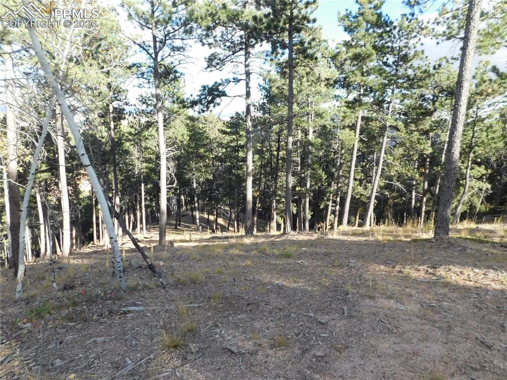 13910 Boulder Lane Larkspur CO 80118