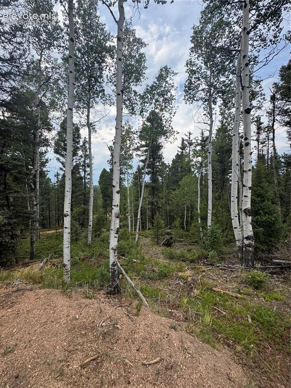 111 Elk Creek Drive Divide CO 80814