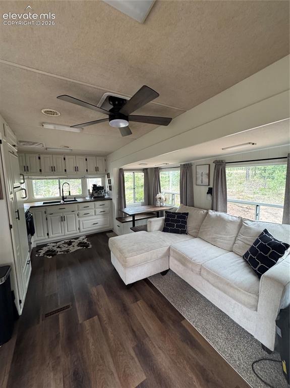 111 Elk Creek Drive Divide CO 80814