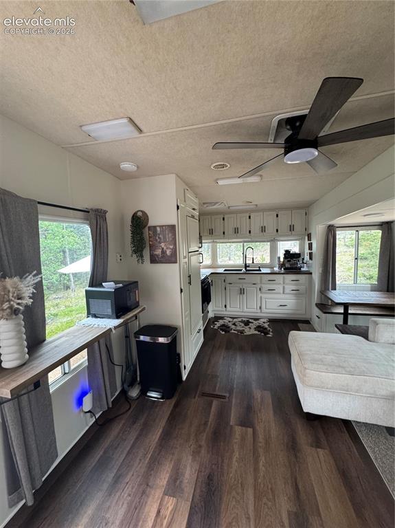 111 Elk Creek Drive Divide CO 80814
