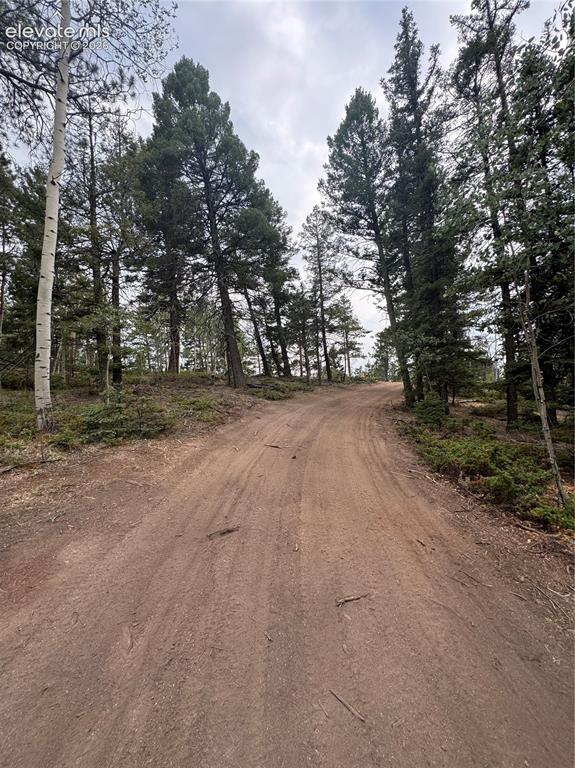 111 Elk Creek Drive Divide CO 80814