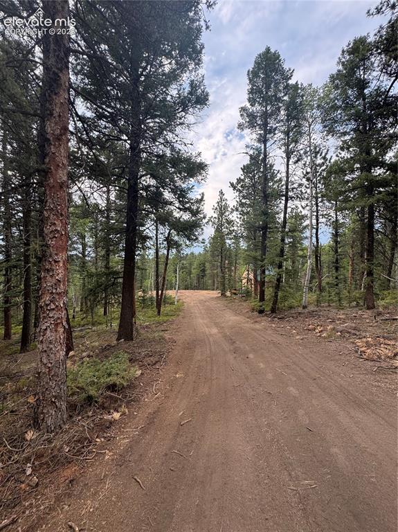 111 Elk Creek Drive Divide CO 80814