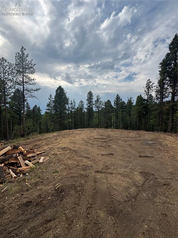 111 Elk Creek Drive Divide CO 80814